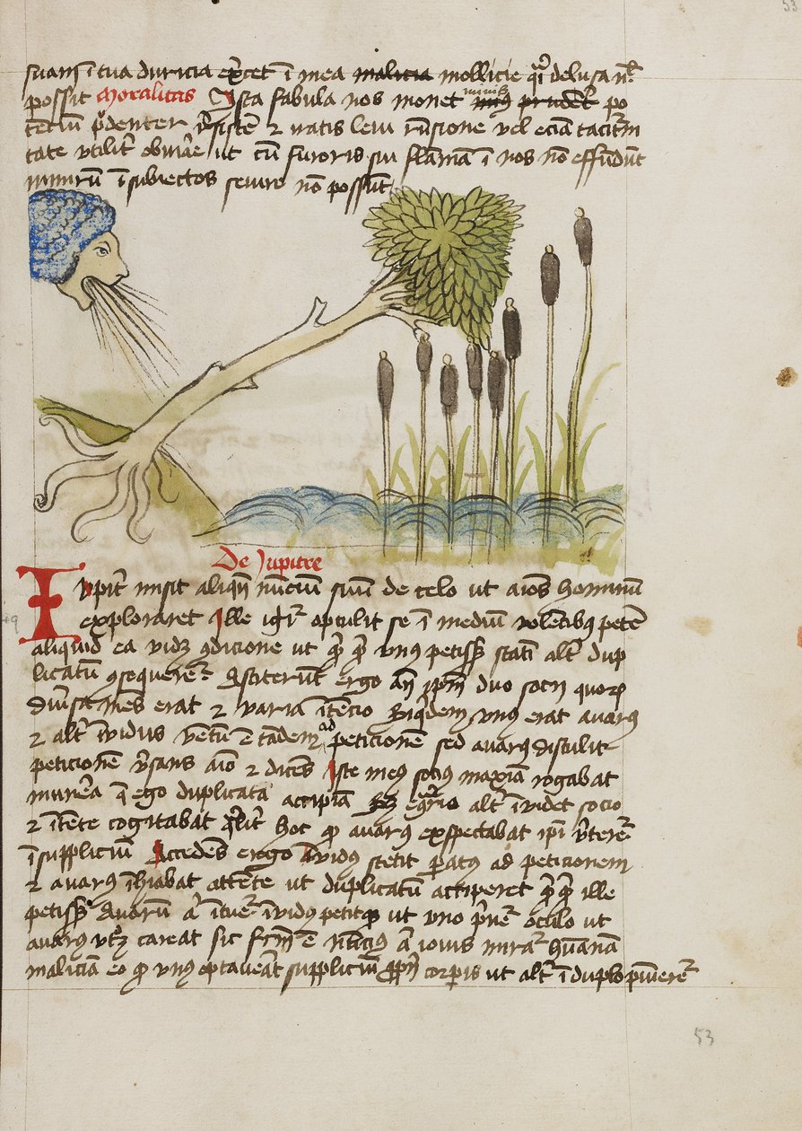 An Oak Tree Up-Rooted by Strong Winds by Unknown artist