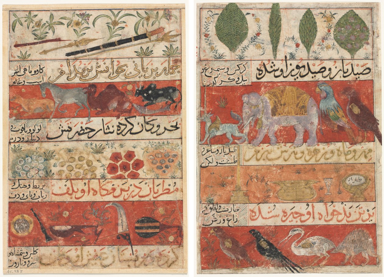 Animals, Precious Stones, Coins, and Musical Instruments (recto); Animals, Birds, and Plants (verso) from 