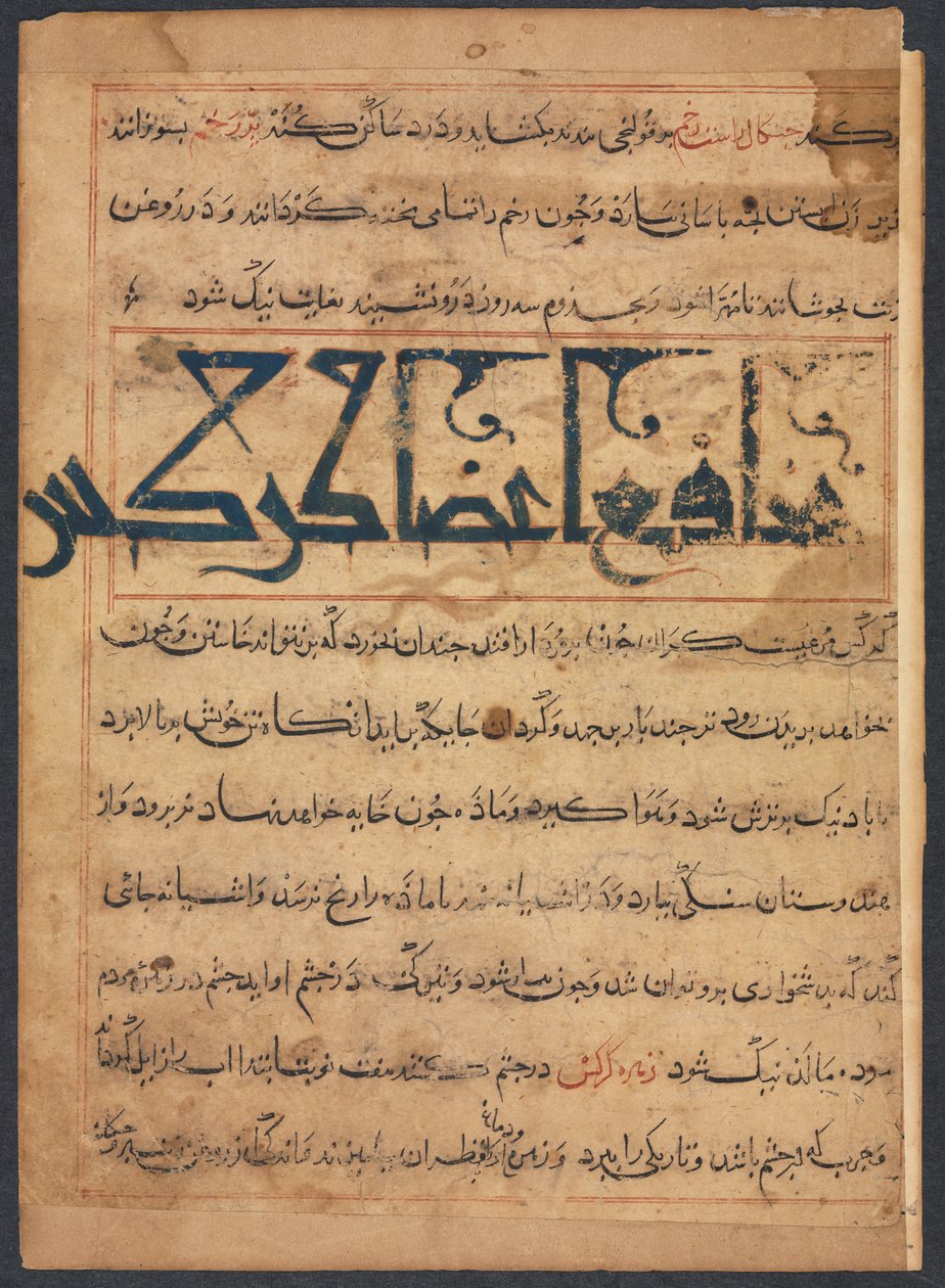 Benefits of the Parts of Vultures (From the Manafi