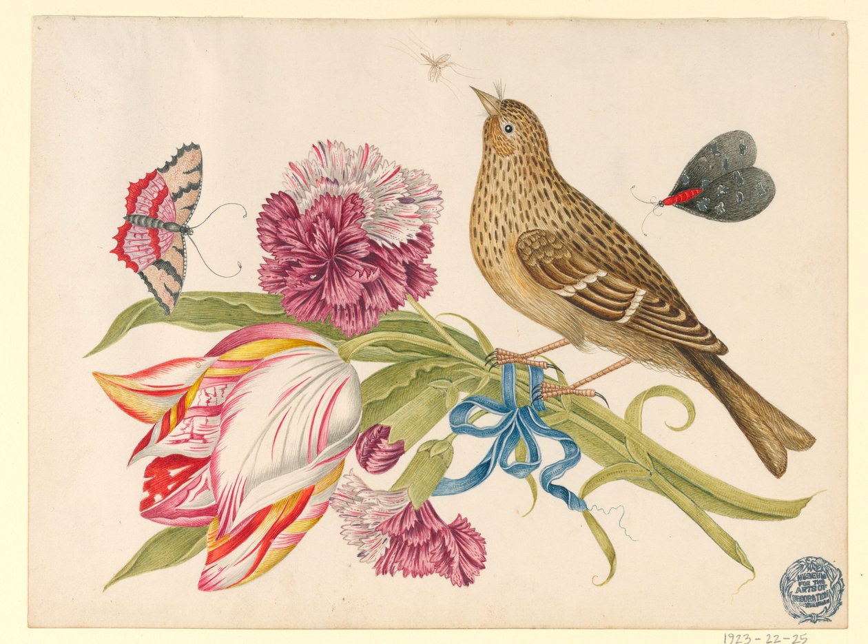 Bird with Tulip, Carnation, Butterflies, and Insect by Unknown artist