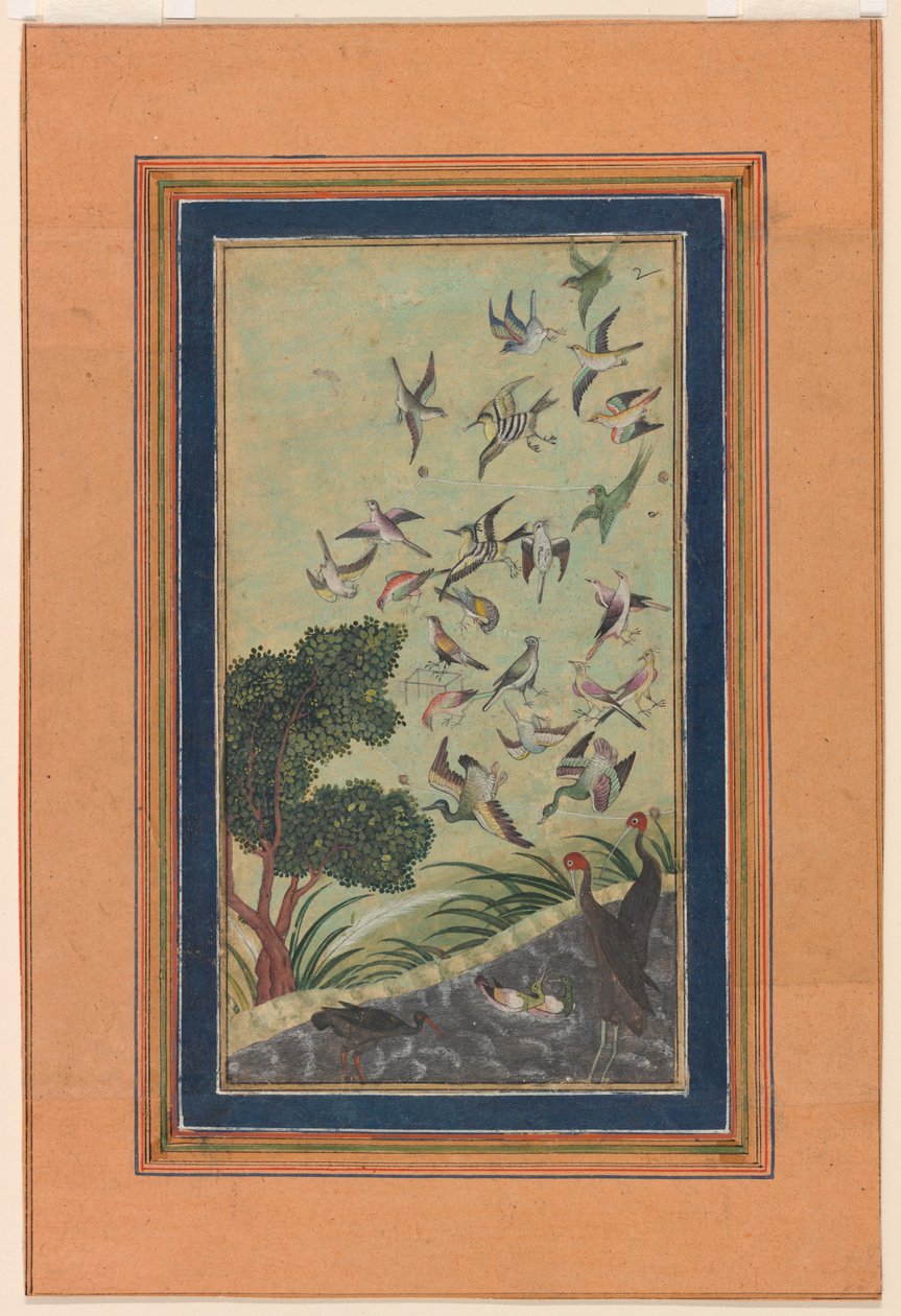 Birds at Baran, possibly from the Babur-nama by Unknown artist