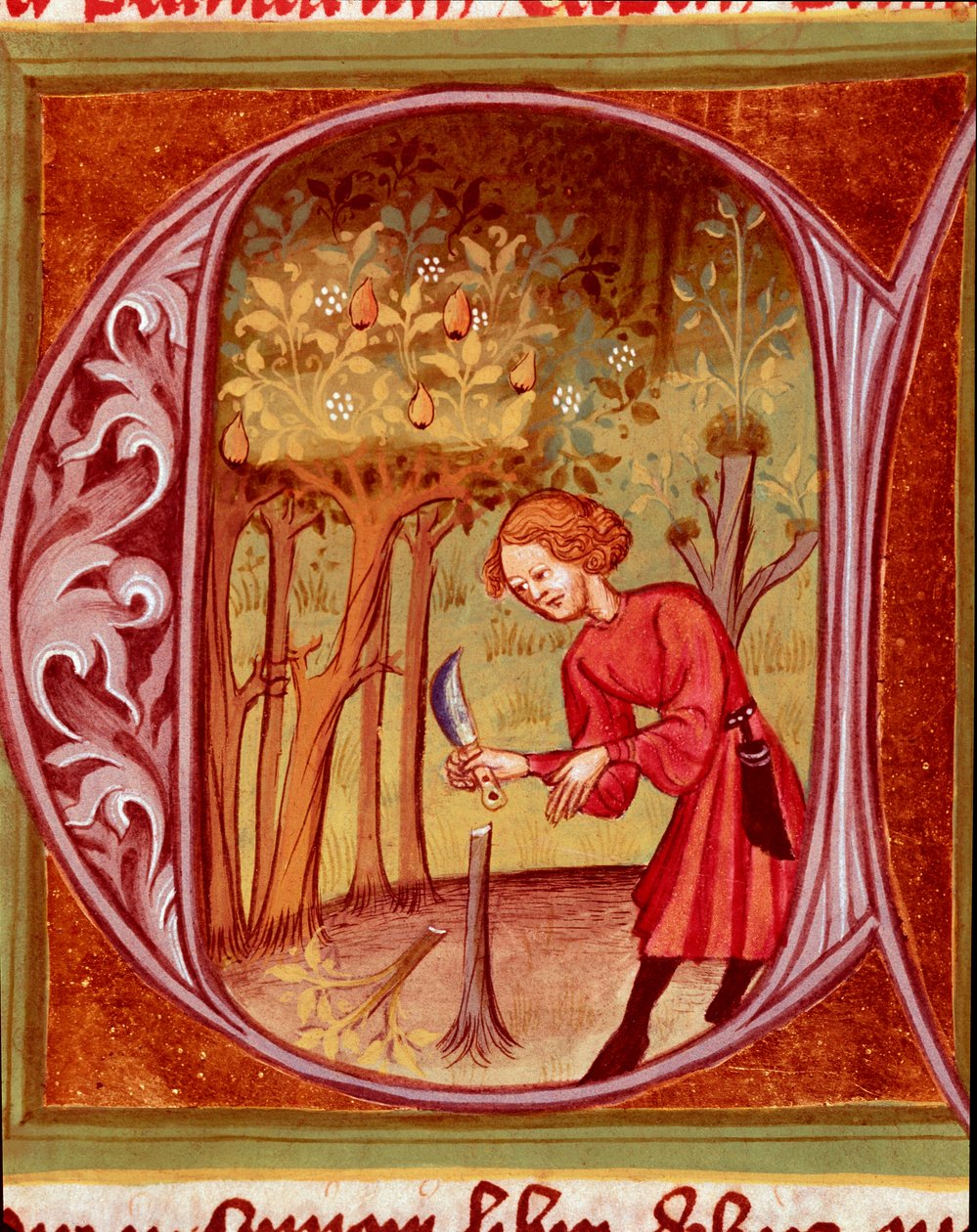 Botanical: A Gardener Practicing a Transplant. Miniature taken from 