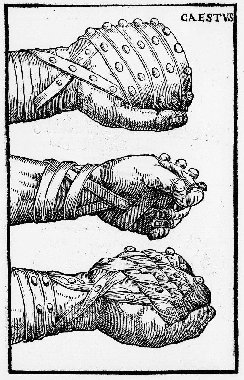 Boxing Gloves - in 