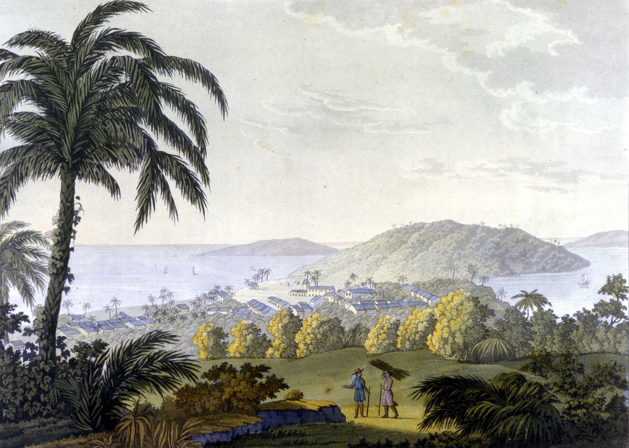 Brazil, view of Ilheus city in the state of Bahia by Unknown artist