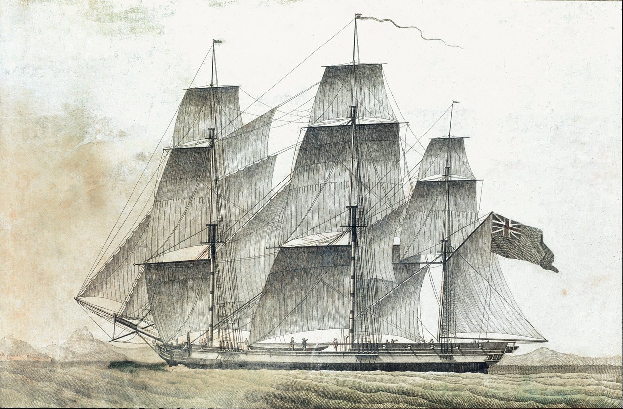 British merchant ship by Unknown artist