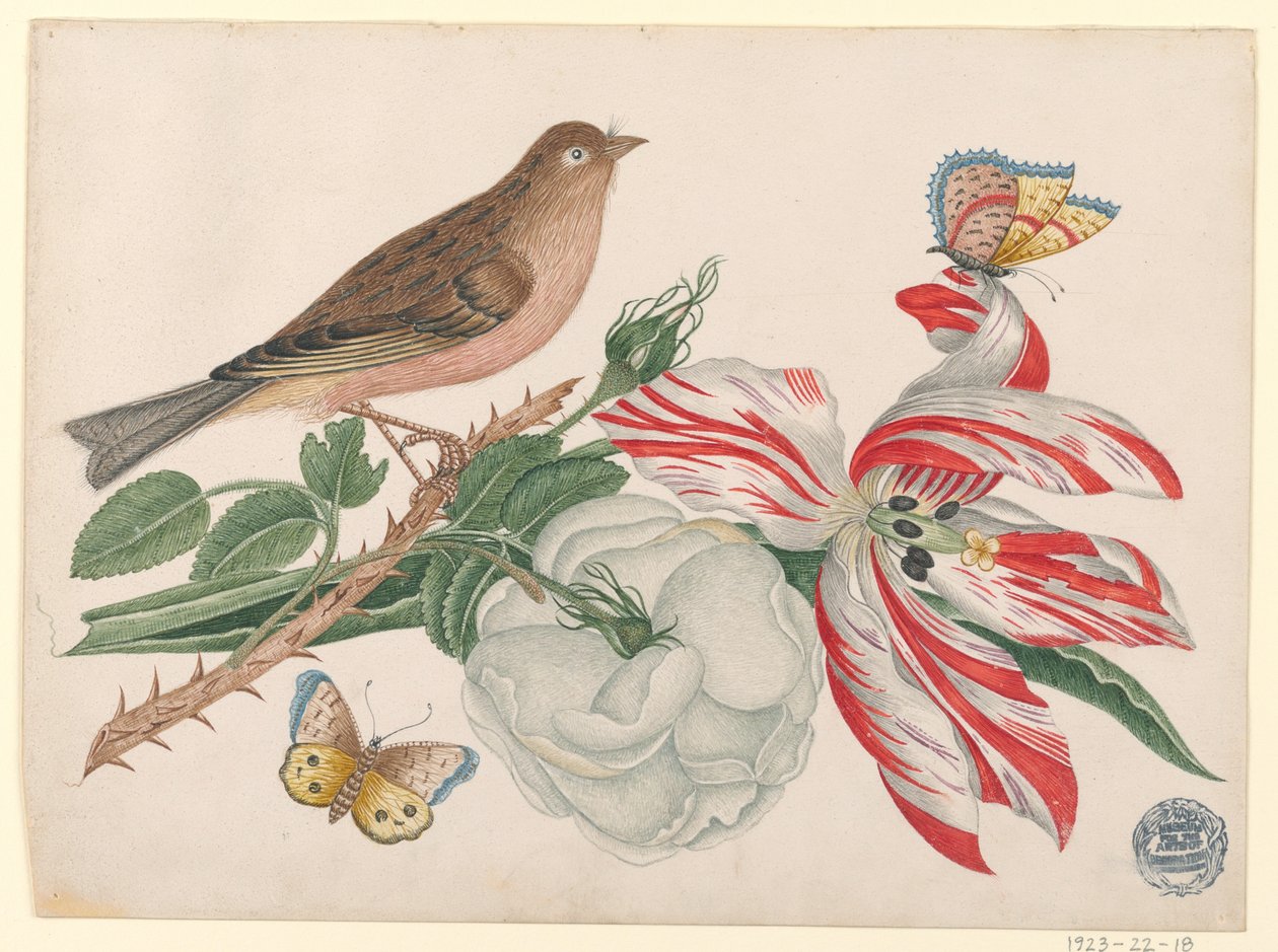 Brown Bird on Branch with Rose, Tulip, and Insects by Unknown artist