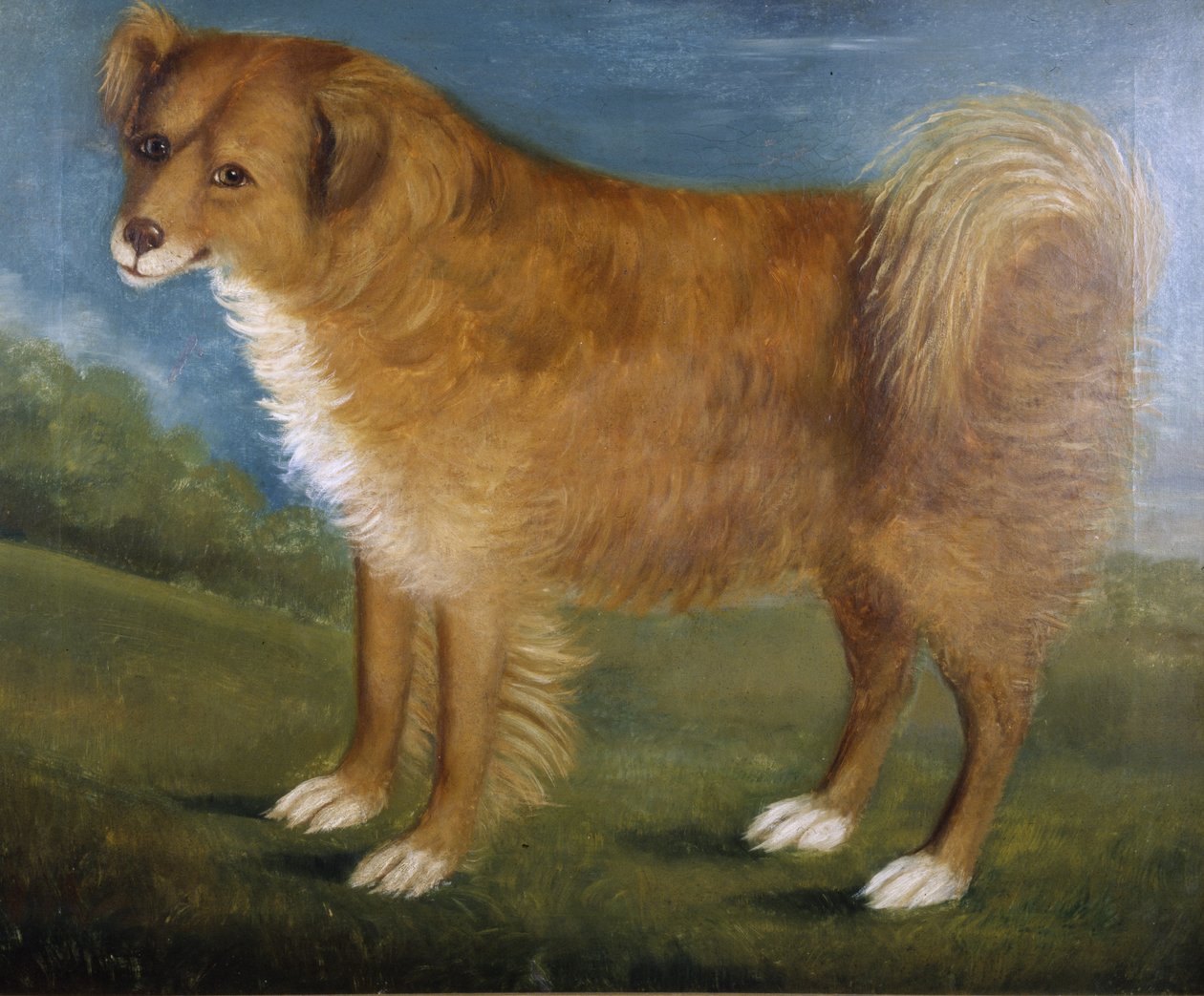 Brown Dog in a Landscape by Unknown artist