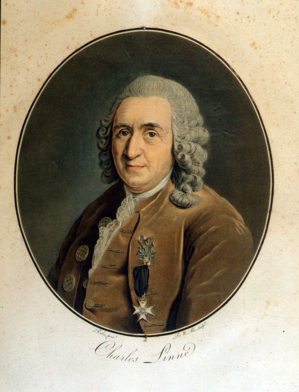 Carl Von Linné, Swedish Naturalist and Writer (1707 - 1778) by Unknown artist