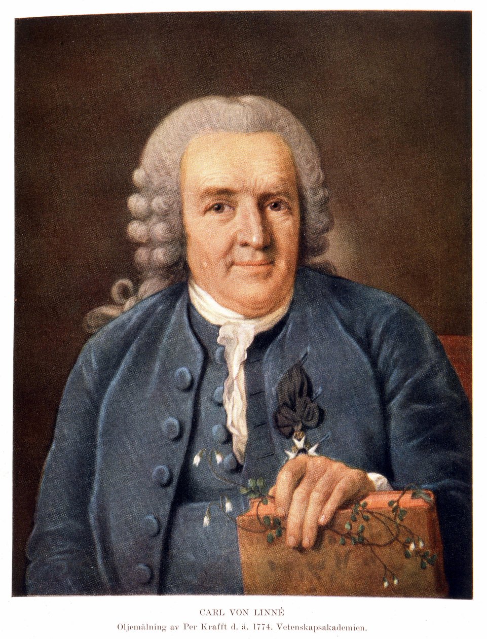 Carl von Linné, Swedish Naturalist and Writer by Unknown artist
