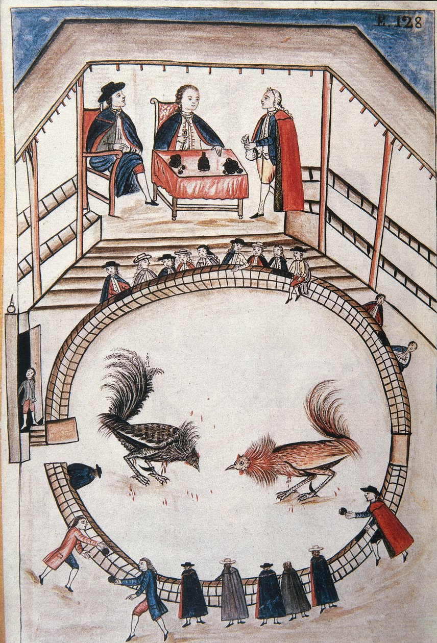 Cock fight, a noble attends the duel, from the book 