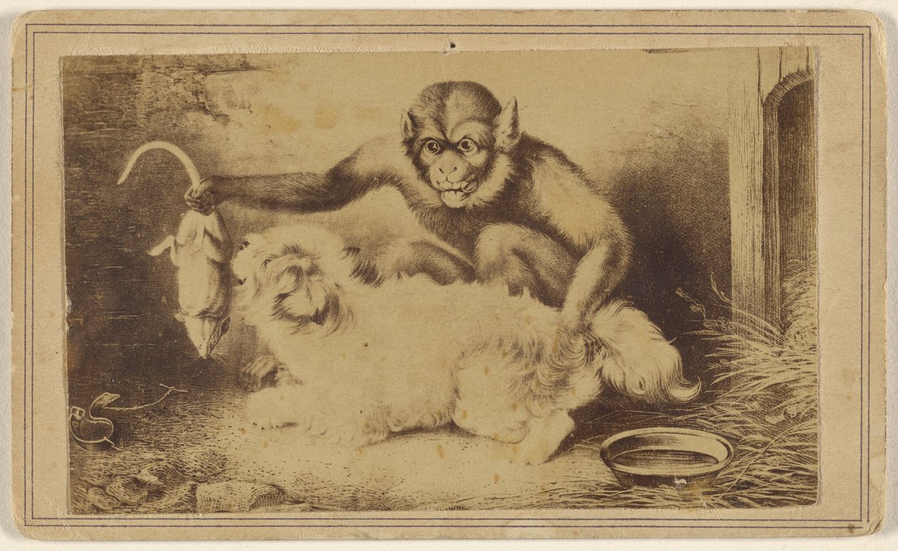 Monkey Holding a Rat by Its Tail in Front of a Small White Dog by Unknown artist