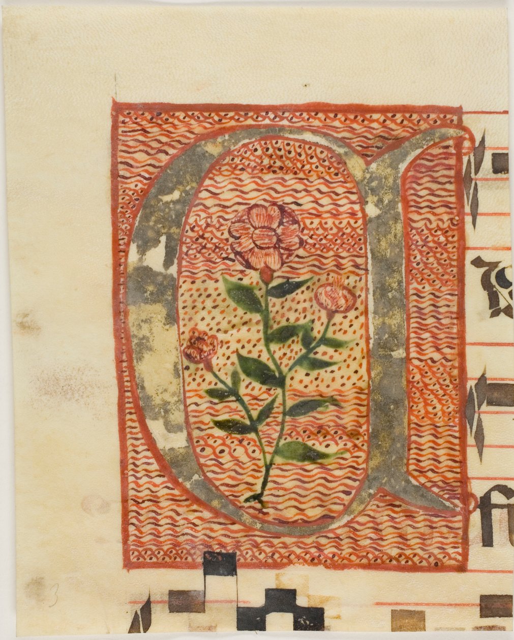 Decorated Initial "A" with Flower from a Manuscript by Unknown artist