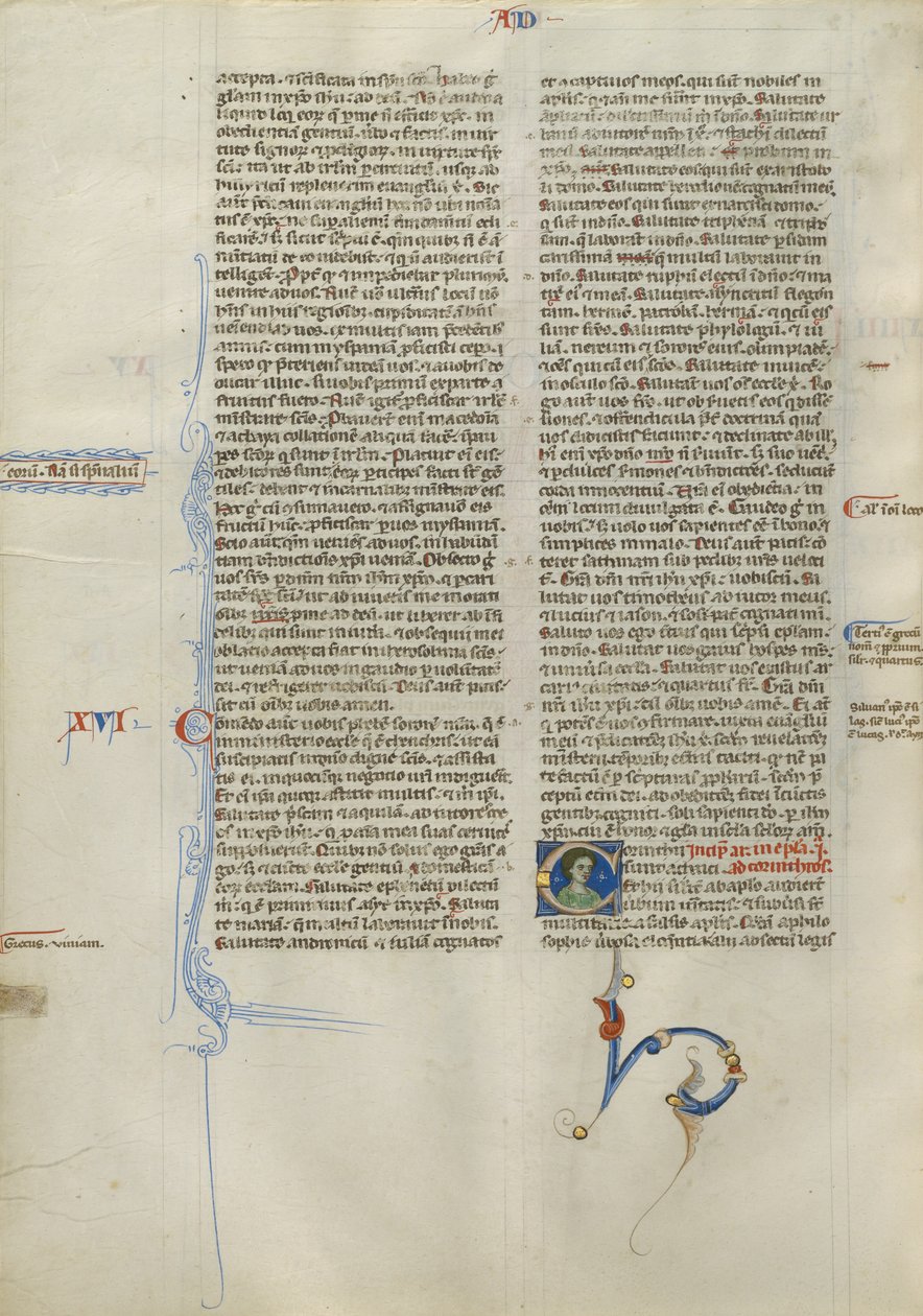 Decorated Initial C by Unknown artist
