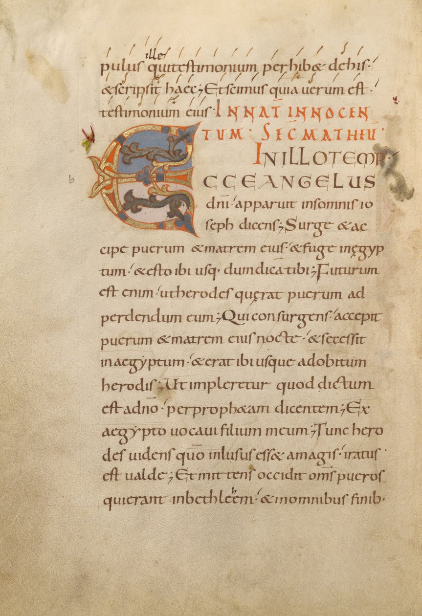 Decorated Initial E by Unknown artist