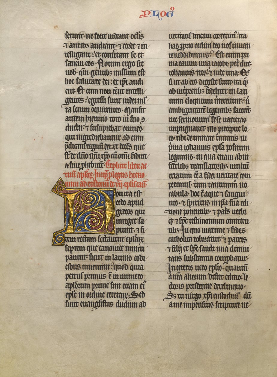 Decorated Initial N by Unknown artist