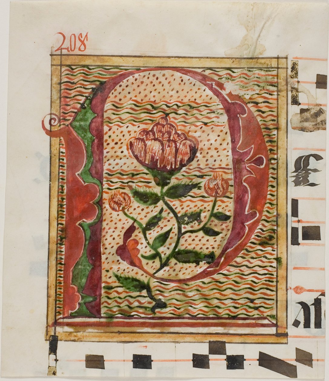 Decorated Initial "P" with Flowers from a Manuscript by Unknown artist