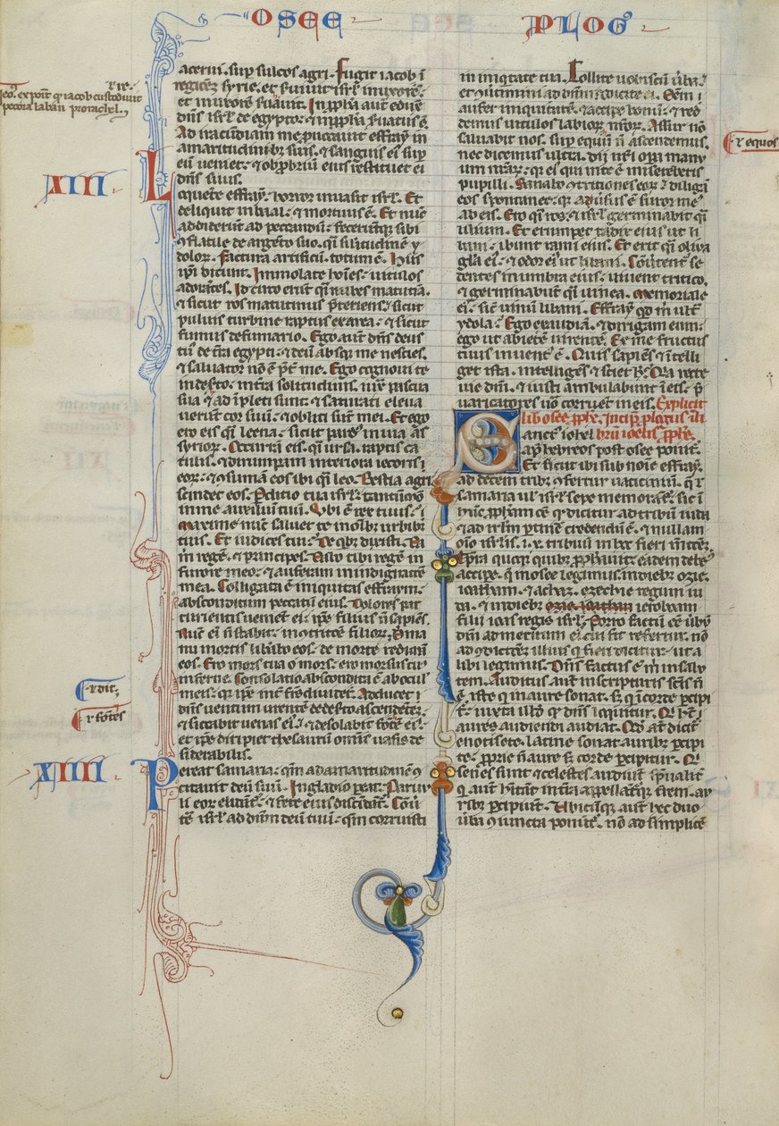 Decorated Initial S by Unknown artist