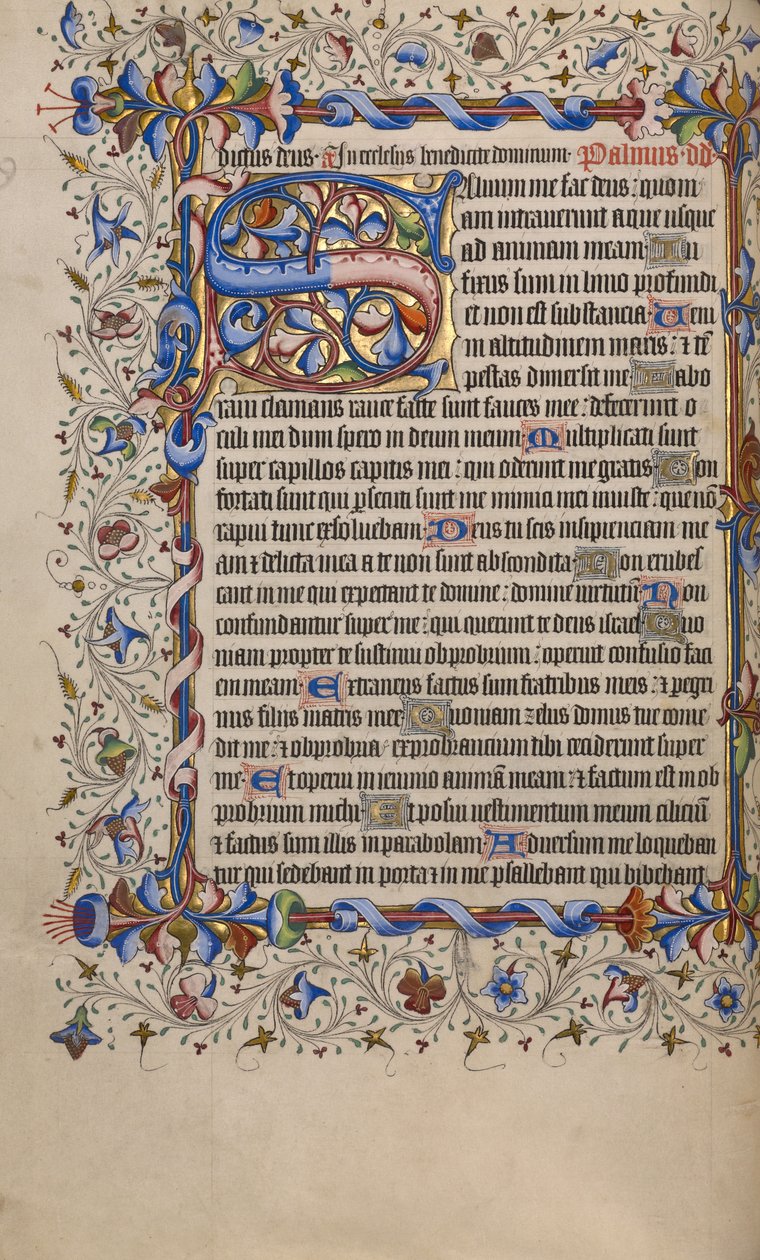 Decorated Initial S by Unknown artist