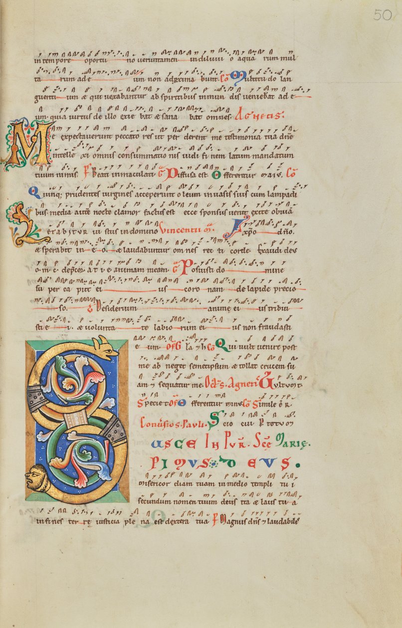 Decorated Initial S by Unknown artist