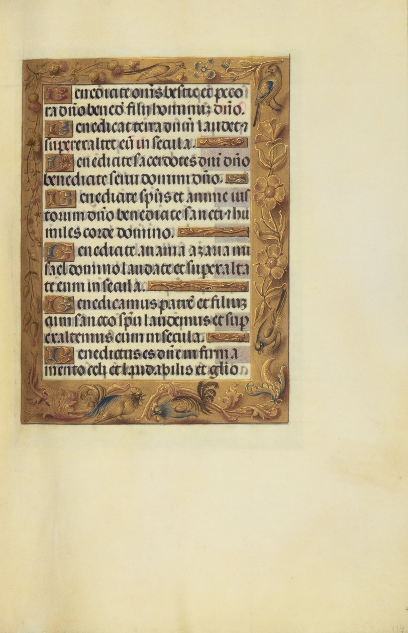 Decorated Text Page by Unknown artist