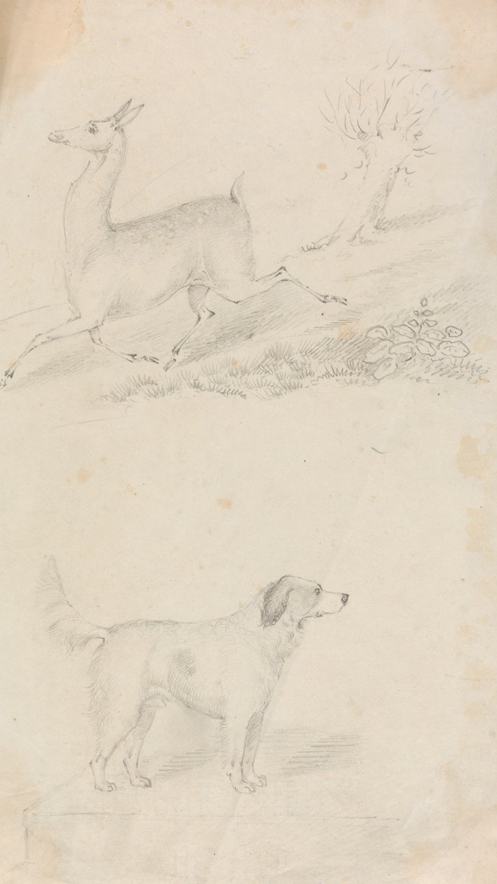 Deer and Dog by Unknown artist