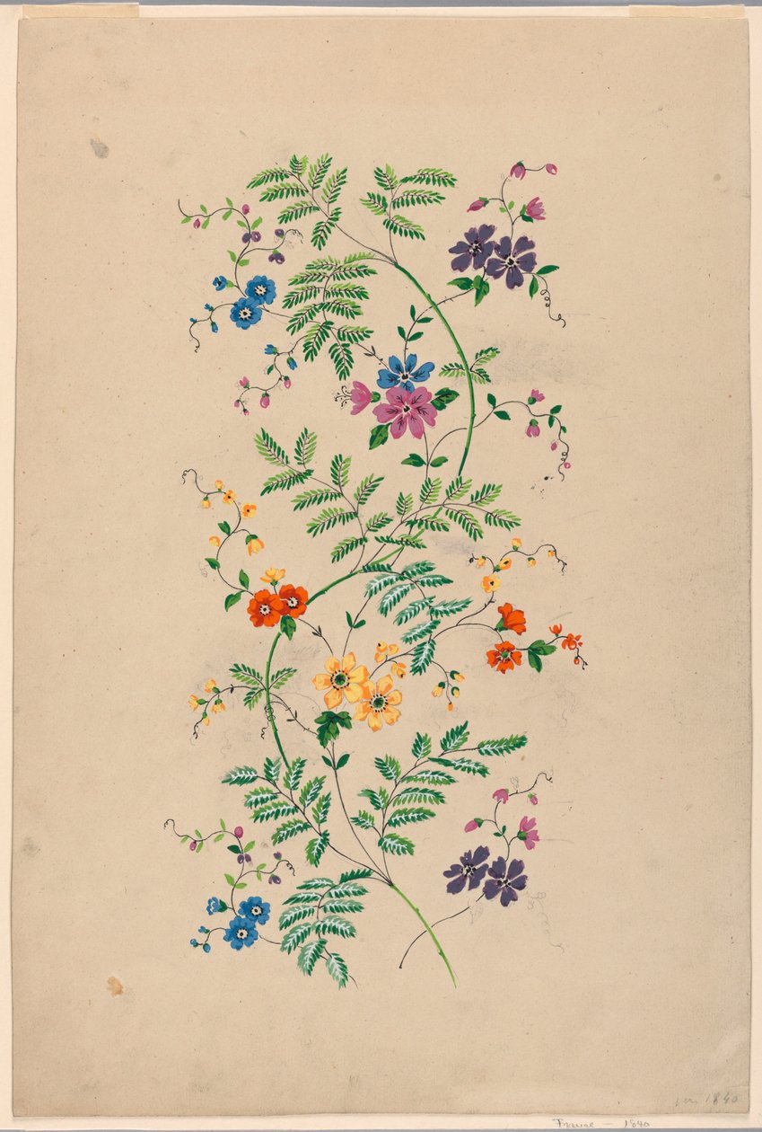Design for a Vertical Rinceau for a Woven Fabric by Unknown artist