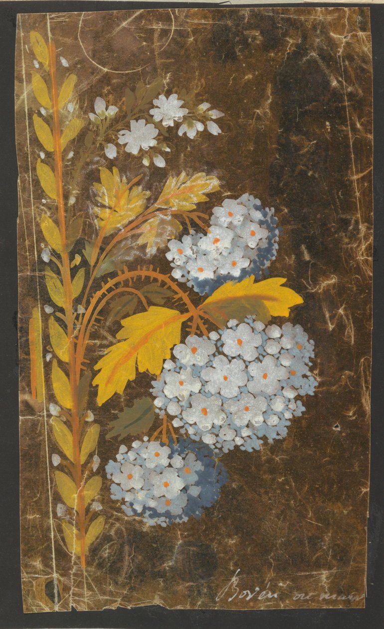 Design for an Embroidered Border by Unknown artist