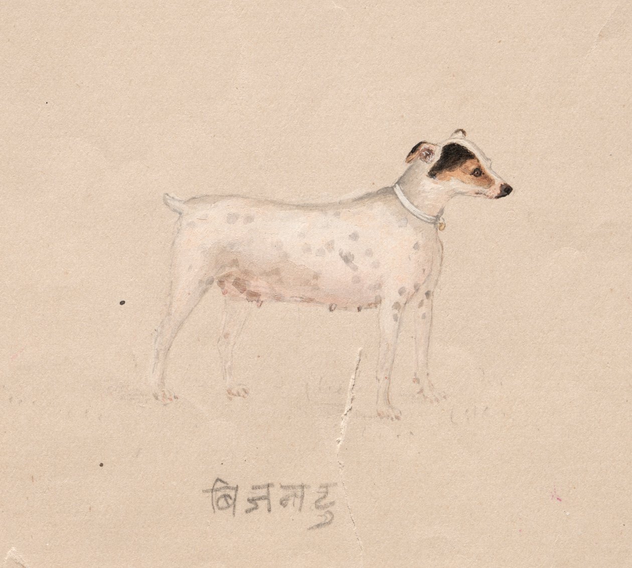 Dog by Unknown artist