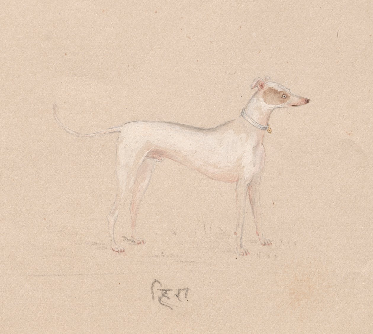 Dog by Unknown artist