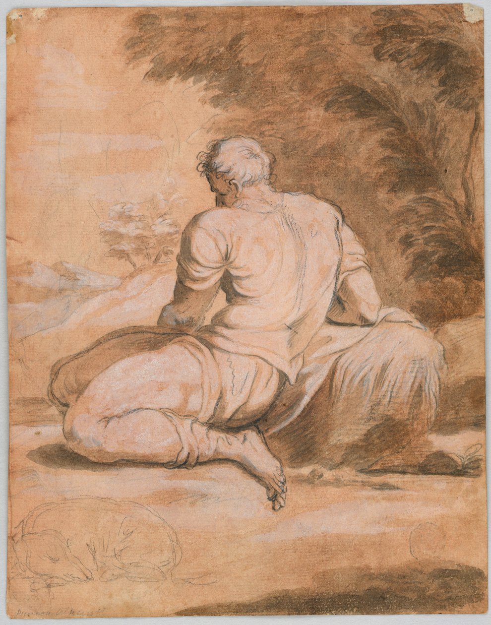 Drawing study: Narcissus (?) by Unknown artist