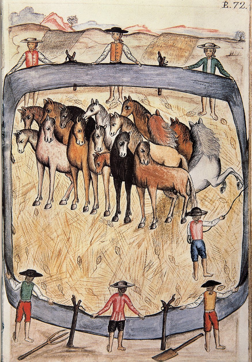 Dressage of Wild Horses, from the Book 