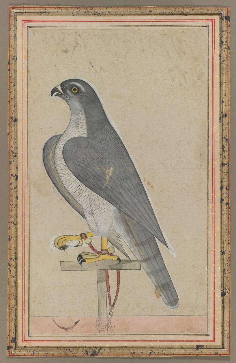 Falcon by Unknown artist