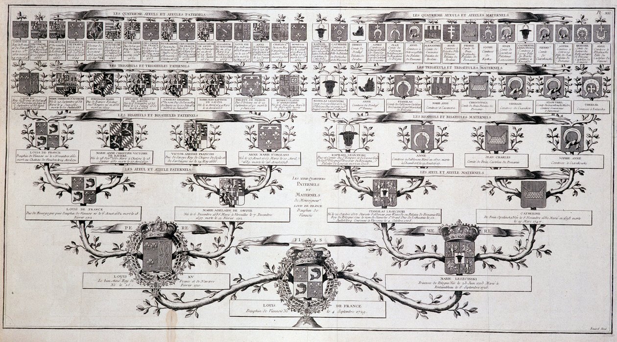 Family tree of the dolphin of France, son of Louis XV and Marie Leczcinski - in Encyclopedia by Diderot by Unknown artist