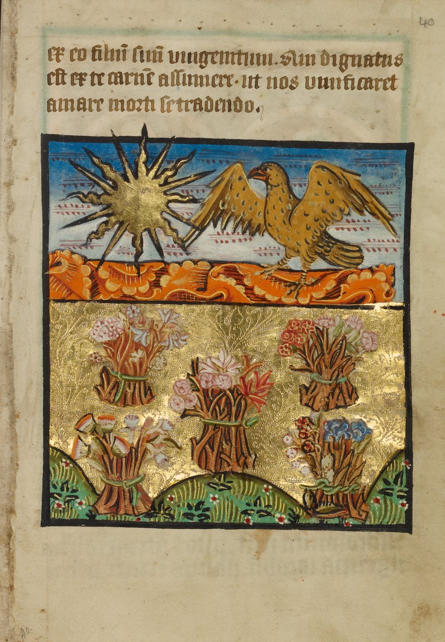 Five Bunches of Flowers by Unknown artist