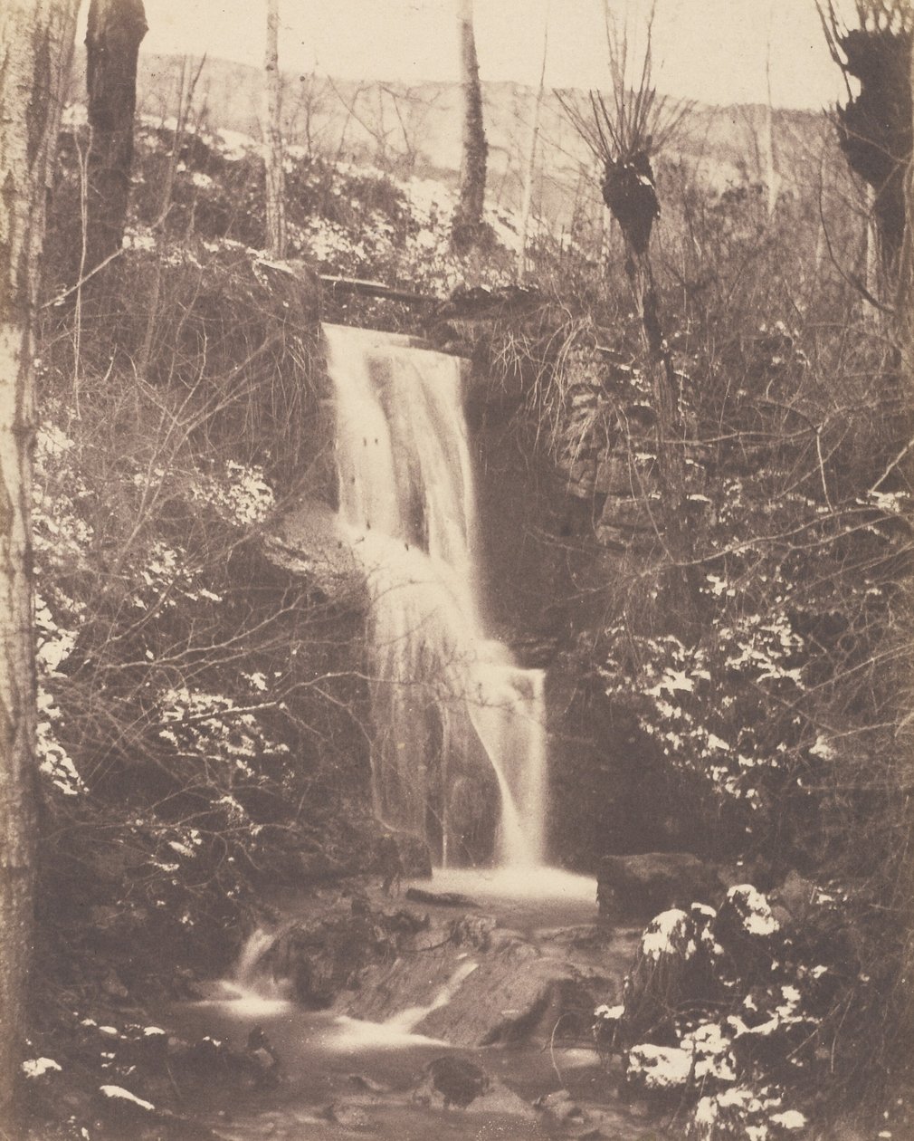 Forest Scene with Waterfall and Stream by Unknown artist