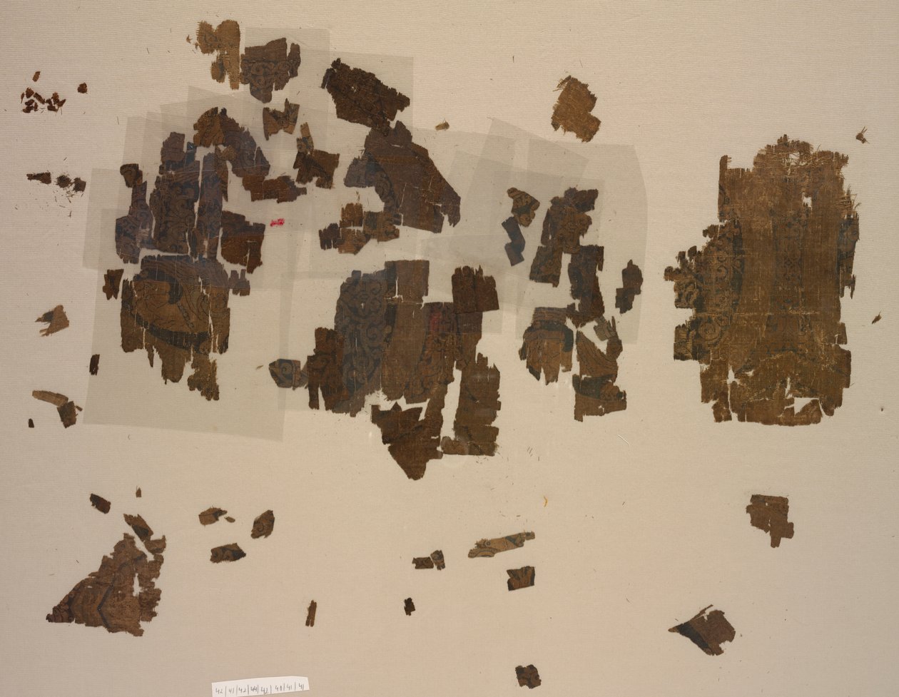 Fragments with Winged Lions in Roundels by Unknown artist