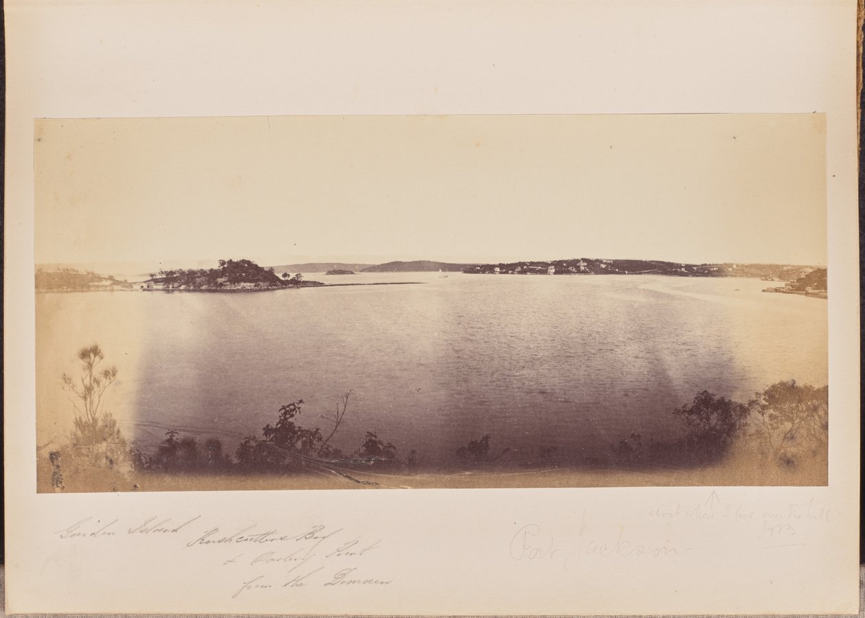 Garden Island, Rushcutters Bay, and Darling Point from the Domain by Unknown artist