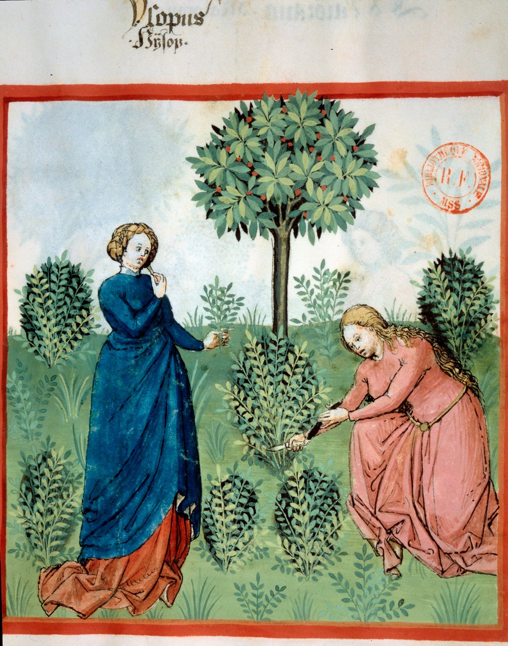 Get Hyssop. Two Women Cut Branches of Hyssop by Unknown artist