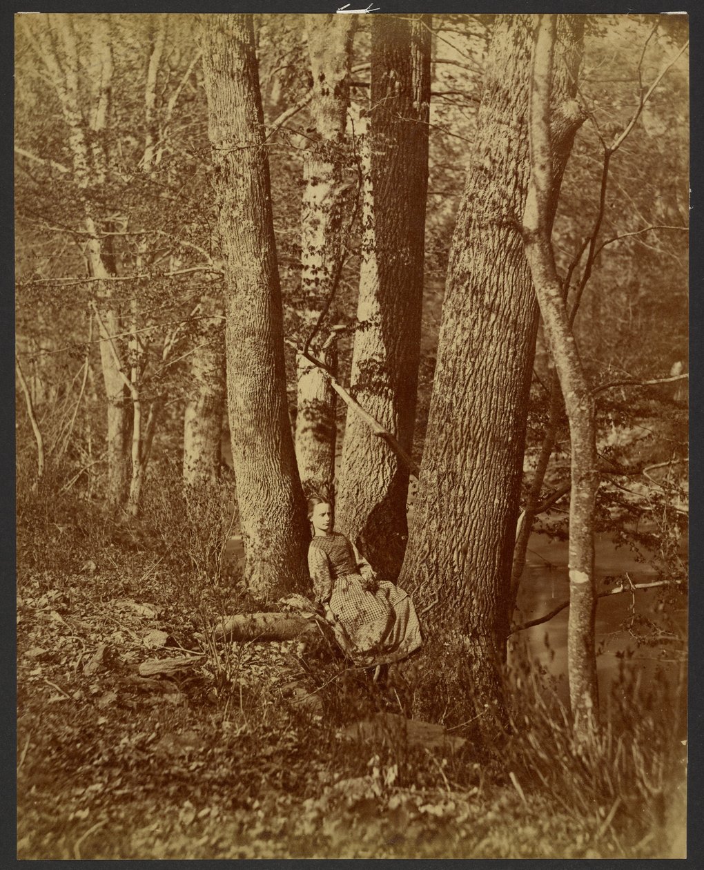 Girl Sitting Between Trees by Unknown artist