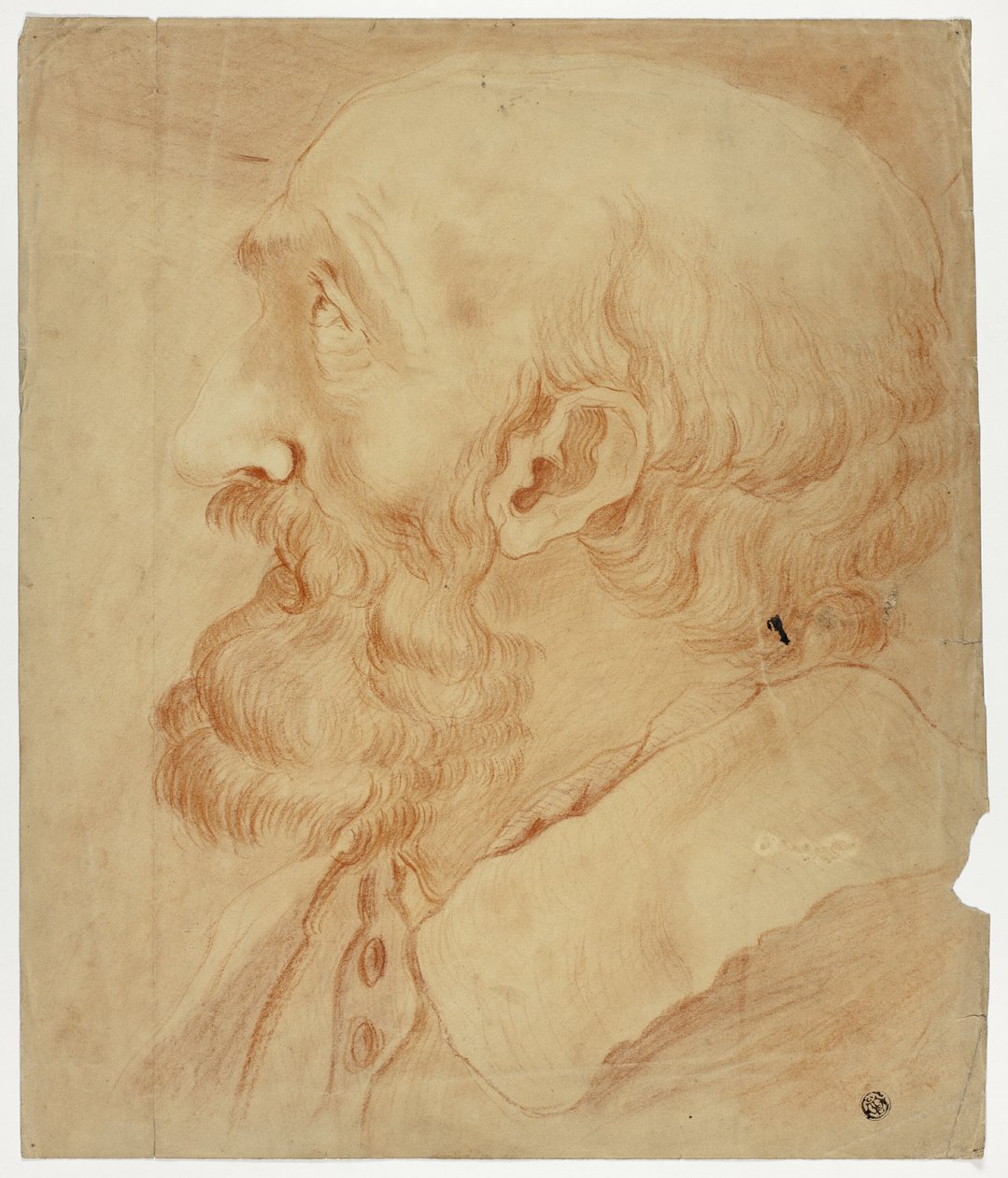 Head of Bearded Man in Profile by Unknown artist