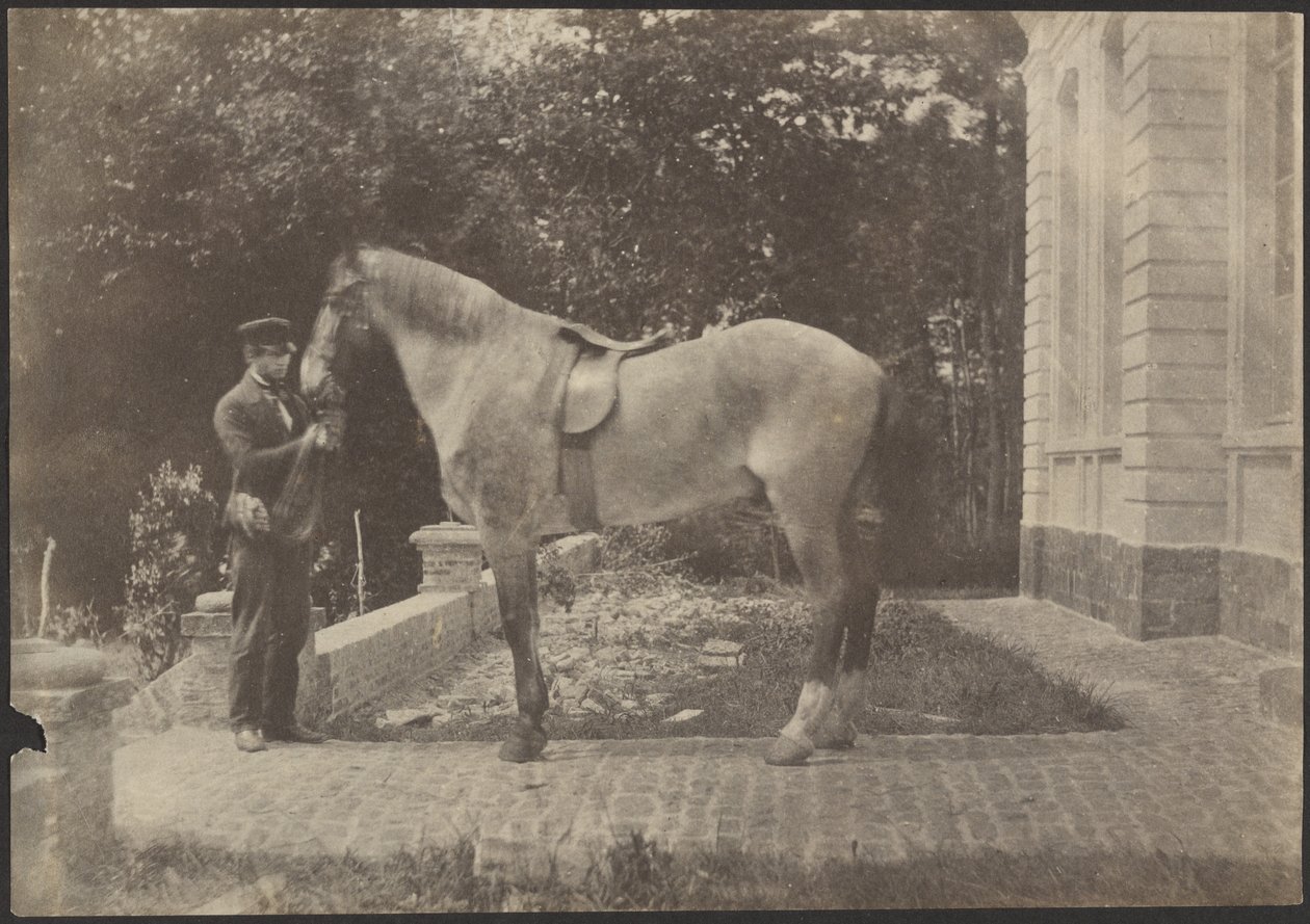 Horse and Man by Unknown artist