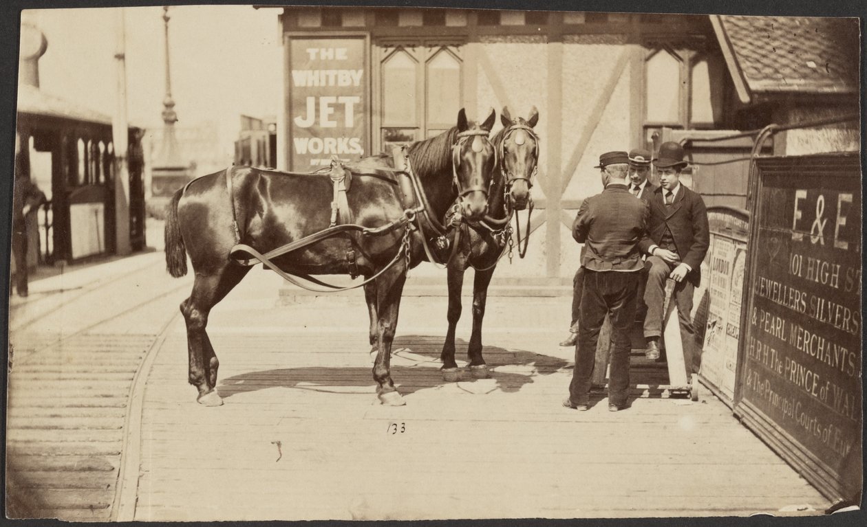 Horses Outside the Whitby Jet Works by Unknown artist