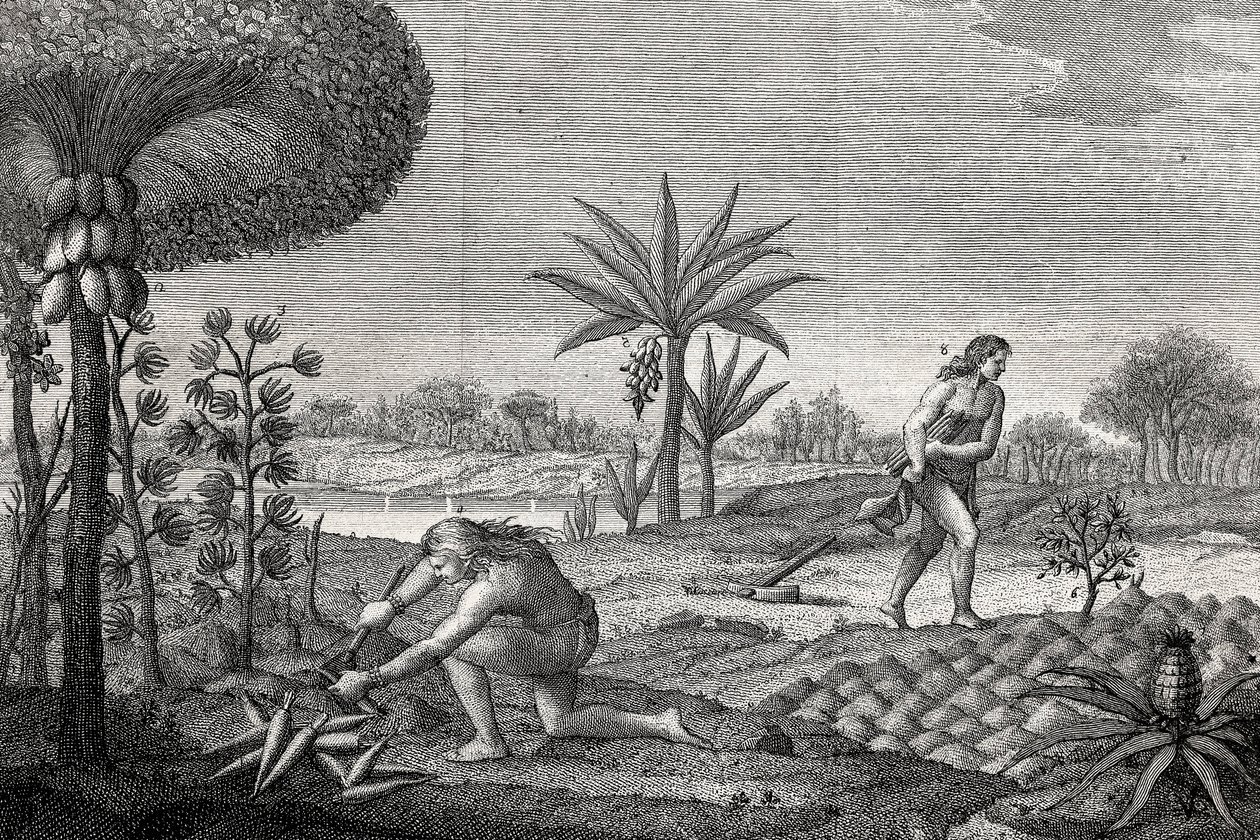 Indigenes Working the Land in the Orenoque Basin of Colombia. Engraving 1780 by Unknown artist
