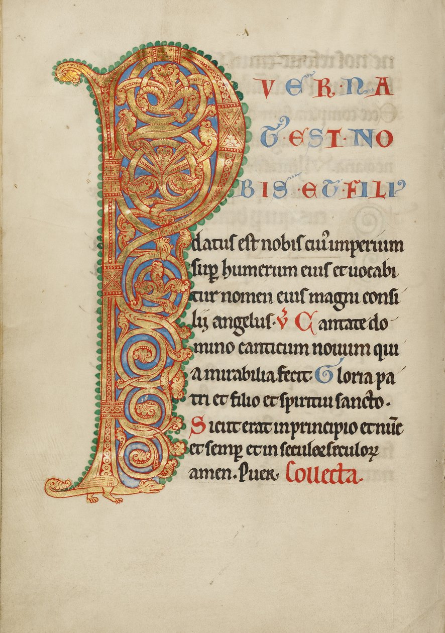 Inhabited Initial P by Unknown artist