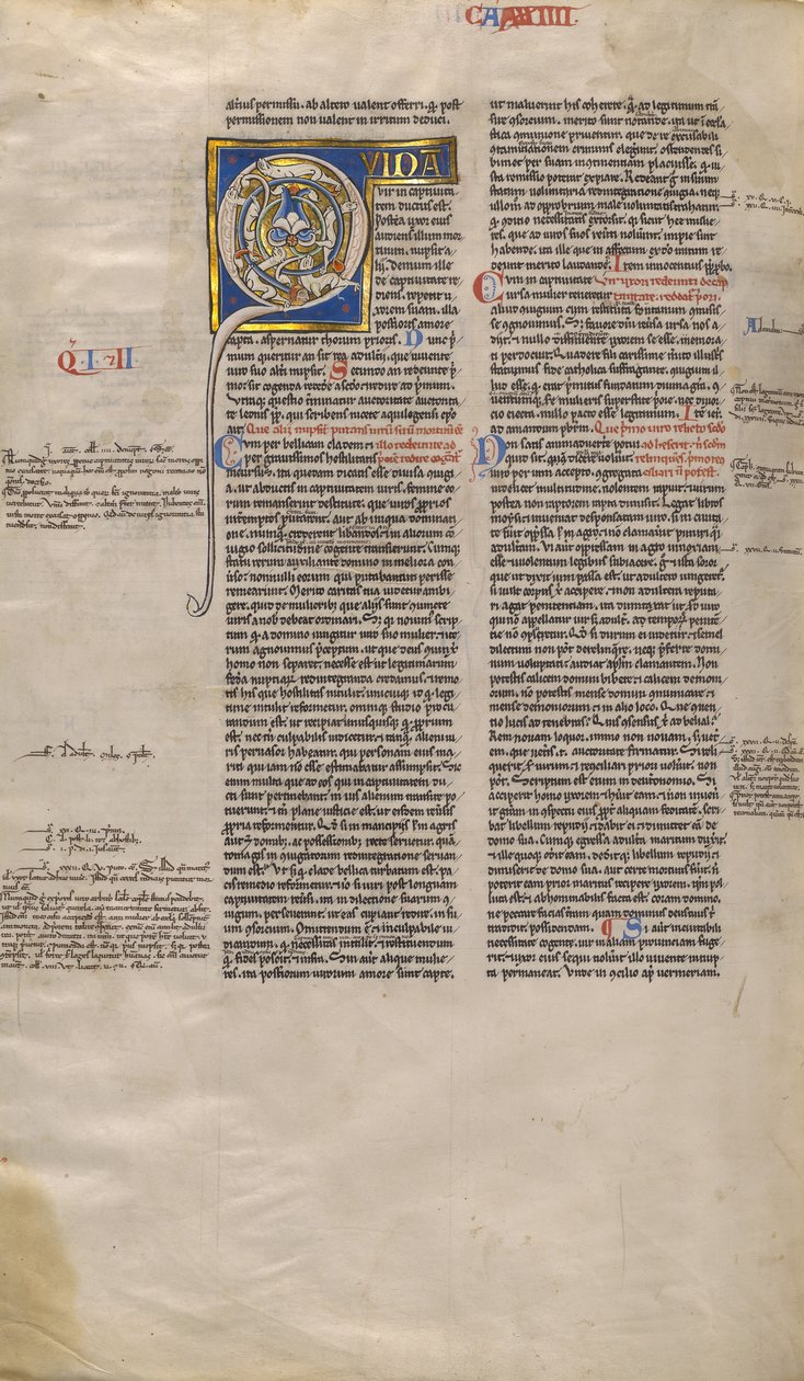 Inhabited Initial Q by Unknown artist