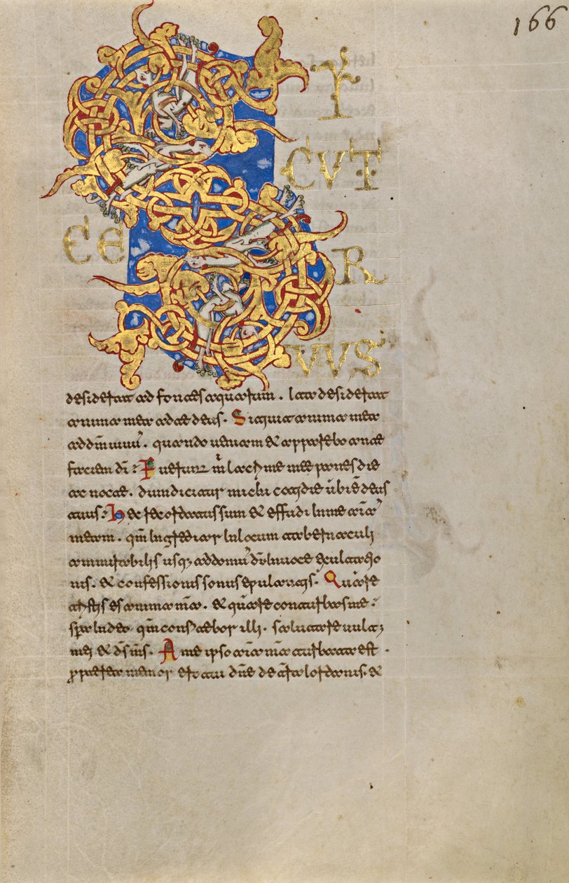 Inhabited Initial S by Unknown artist
