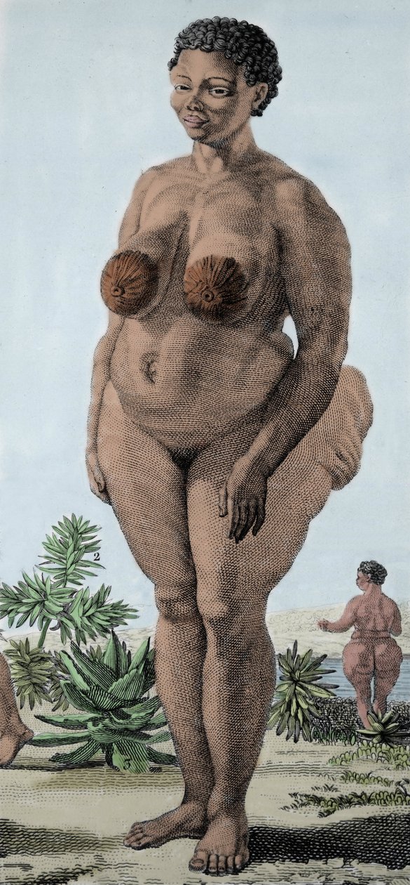 The Hottentot Venus, woman of breed Bochiman; engraving of 1815. by Unknown artist
