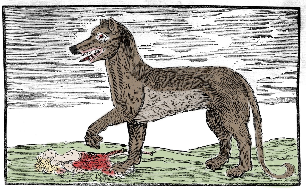 La bete du Gevaudan Engraving from 