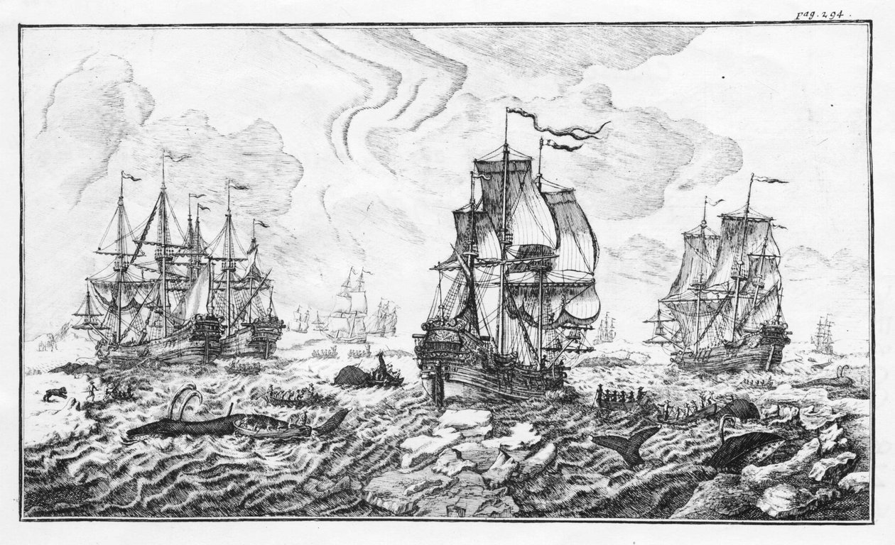 Whale hunting - engraving in 