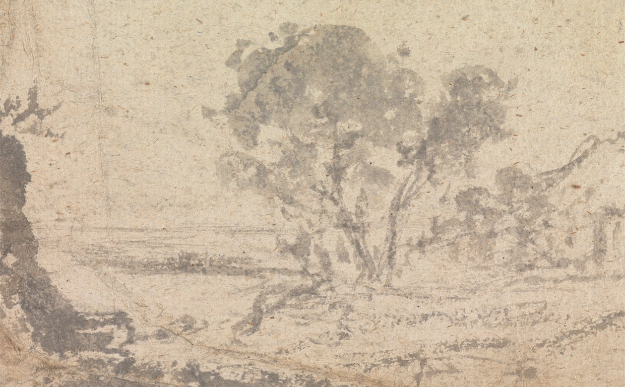 Landscape Sketch with a Tree by Unknown artist